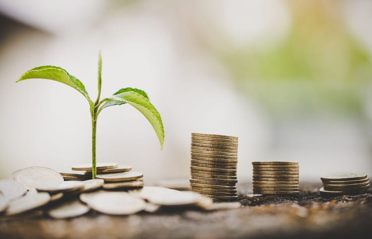 Principais Indicadores Financeiros para Avaliar o Valor de uma Empresa